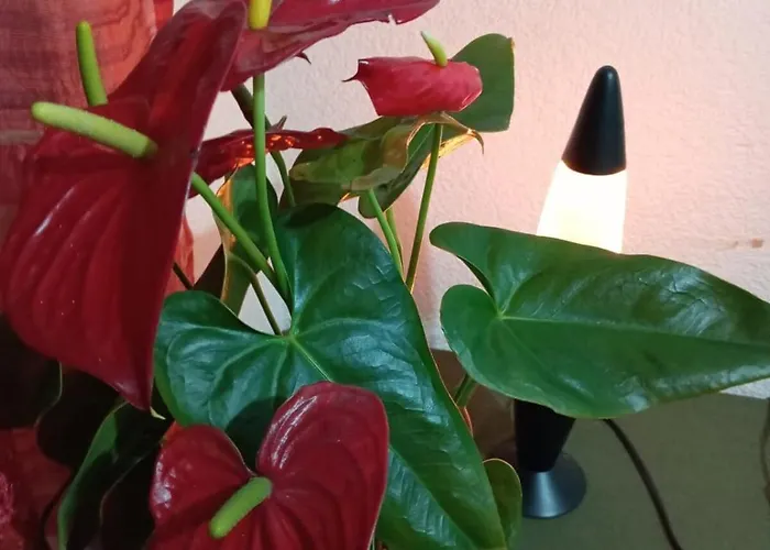 Bonito Departamento En Cdmx México DF